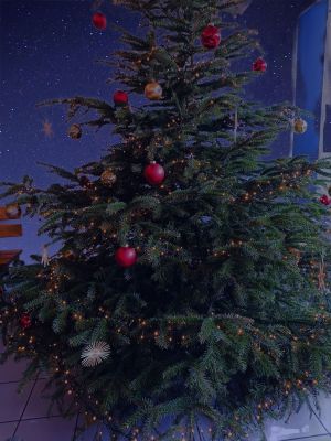 Weihn (10)