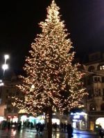 Weihnachtsbaum Basel 2014